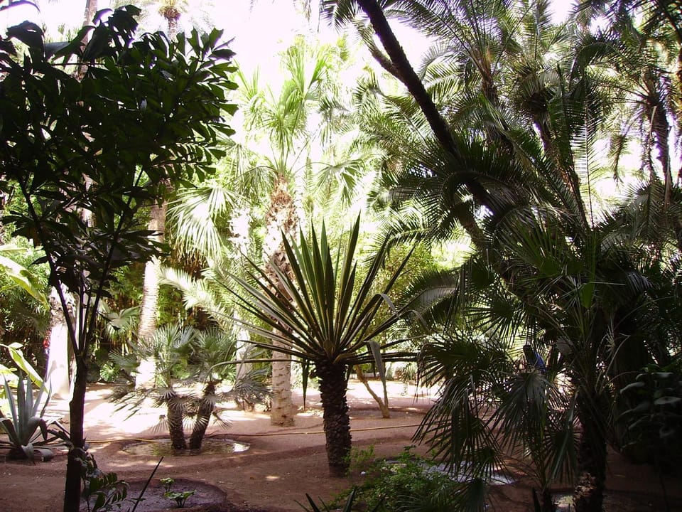 Appart avec vue Jardin/Majorelle Apartment in Marrakesh