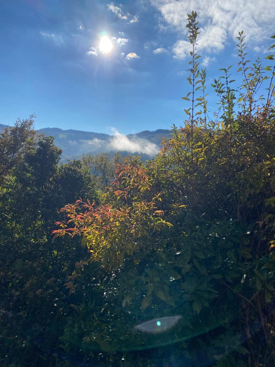 le casino Bed and Breakfast in Auvergne-Rhône-Alpes