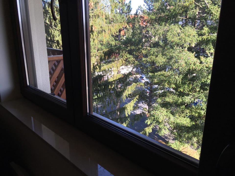 Garden view, Street view