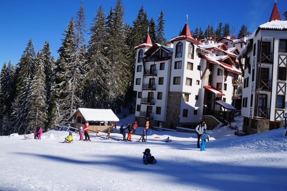 Day, Winter, Skiing, Guests