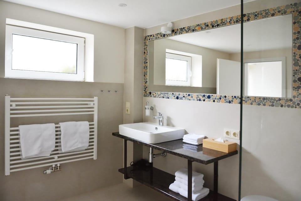 Ferienwohnung Gohrisch Apartment in Sächsische Schweiz-Osterzgebirge