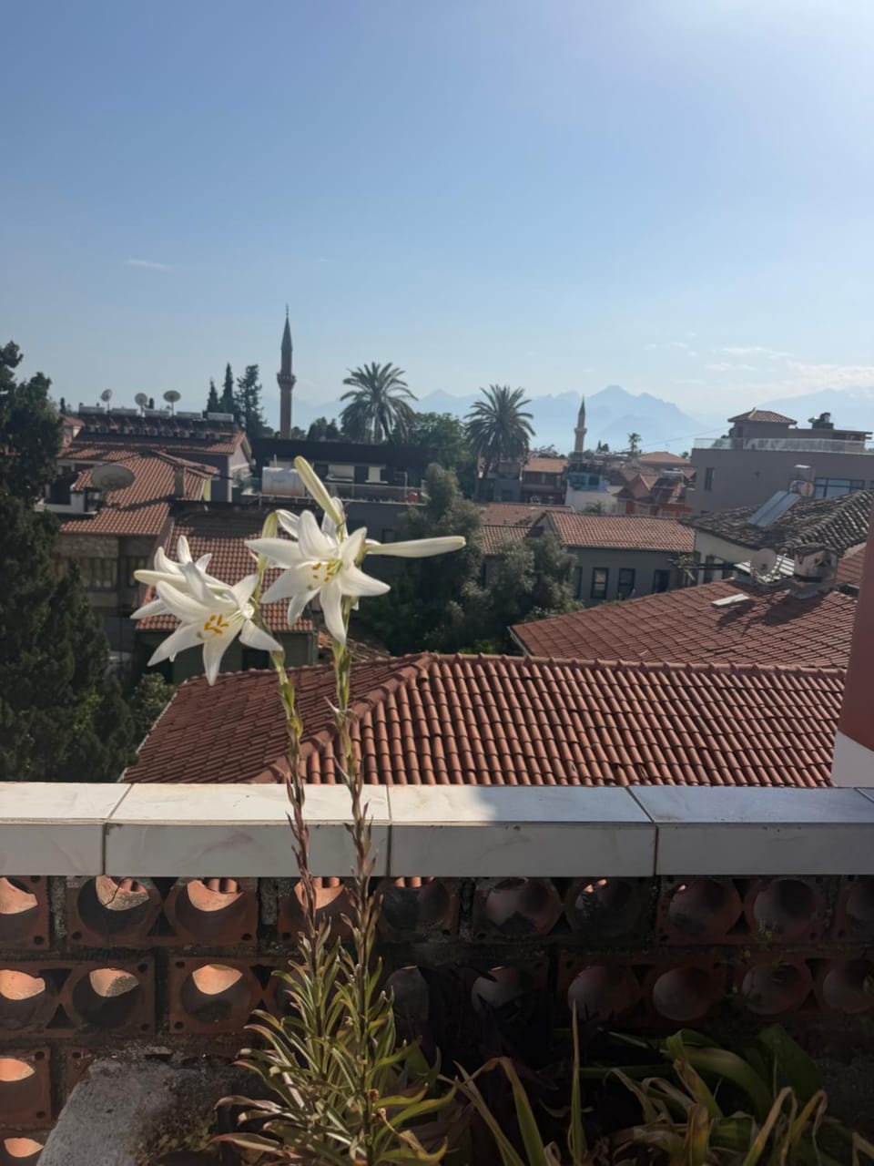 Day, Natural landscape, View (from property/room), Balcony/Terrace