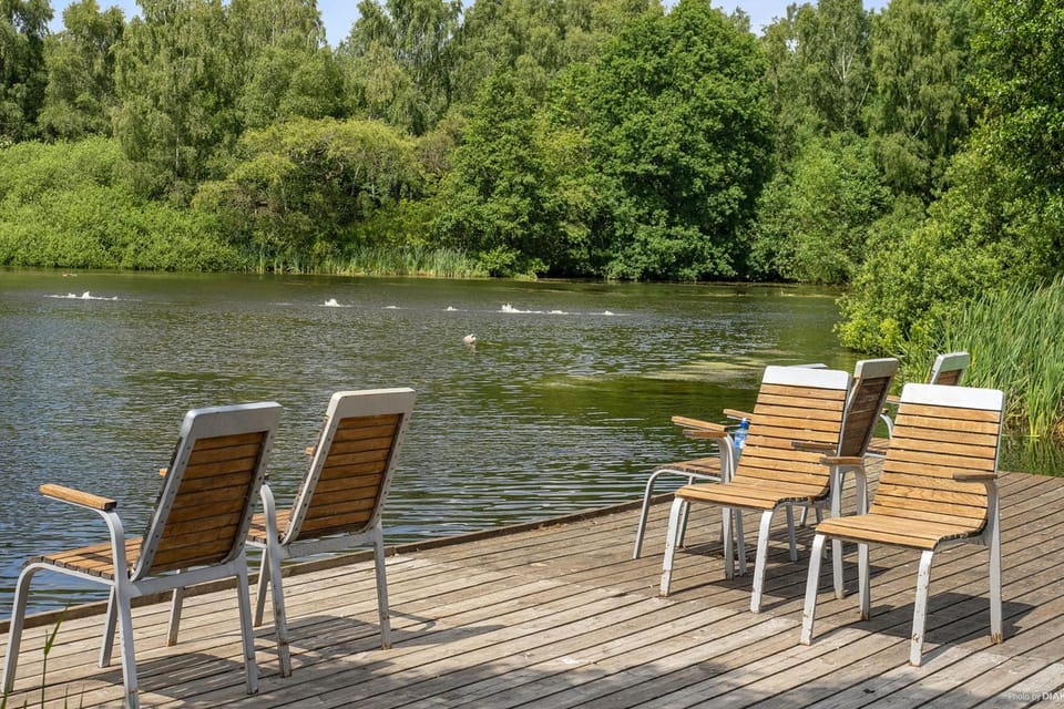 Lake view