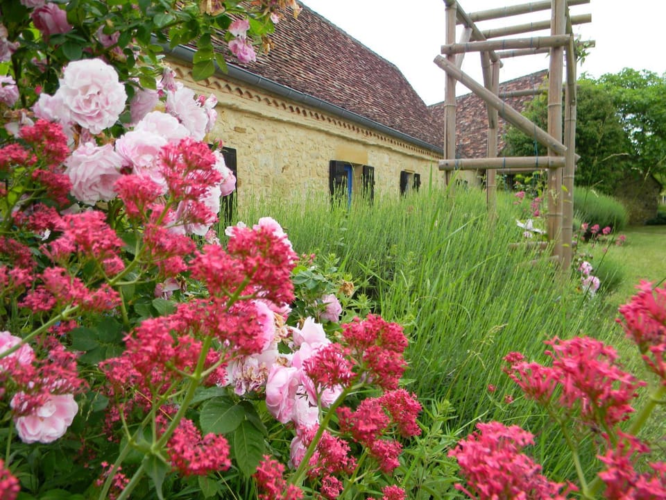 Garden, Garden