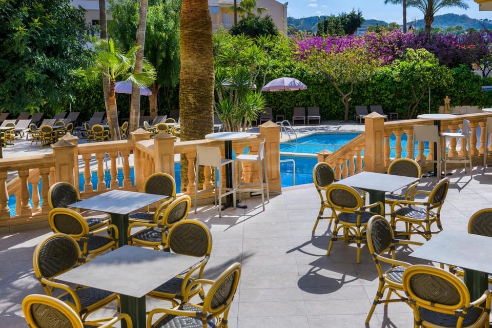 Lounge or bar