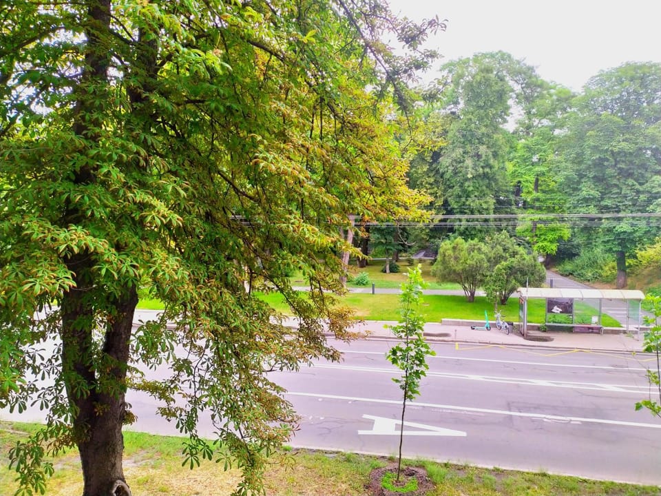 View (from property/room), Garden view, Landmark view