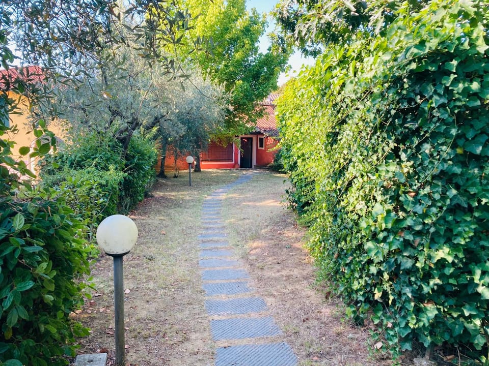 Il Belvedere Holiday house in the Tuscan Apartment in Tuscany