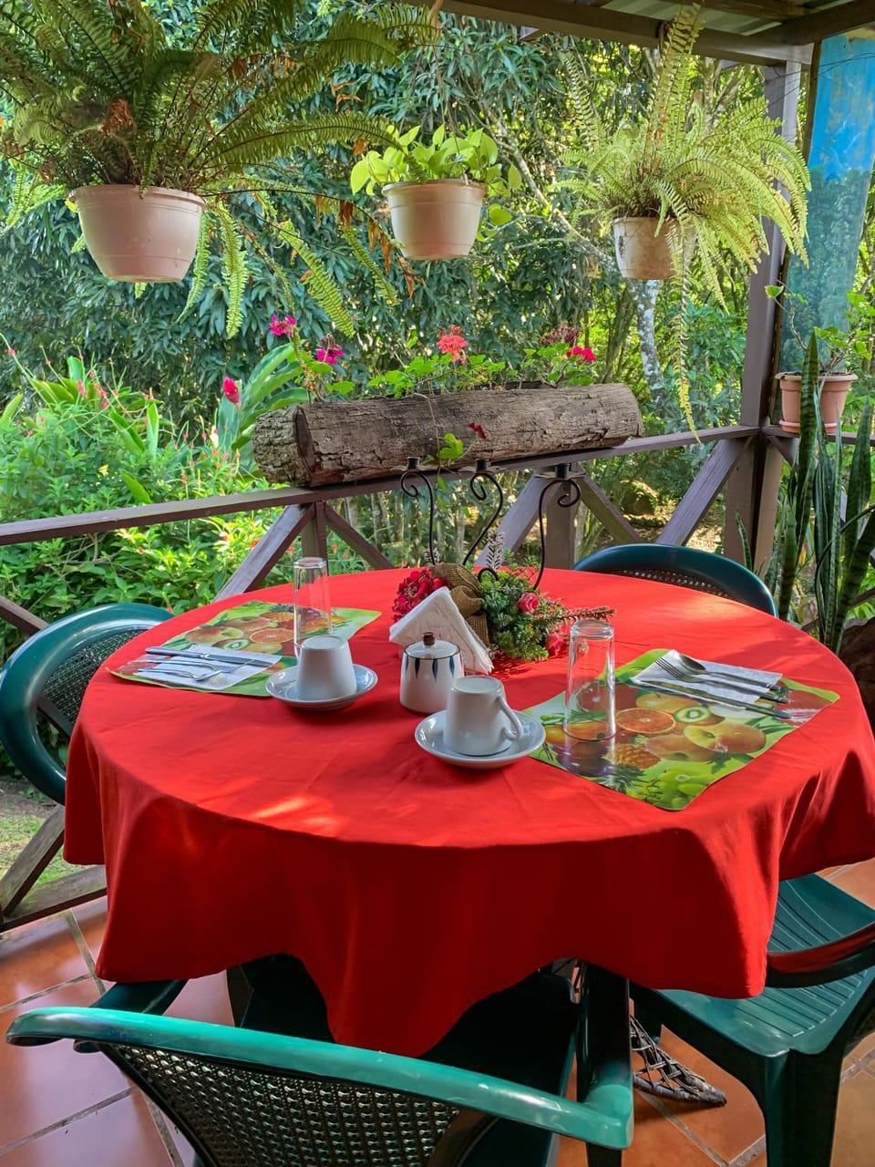Dining area, Garden view