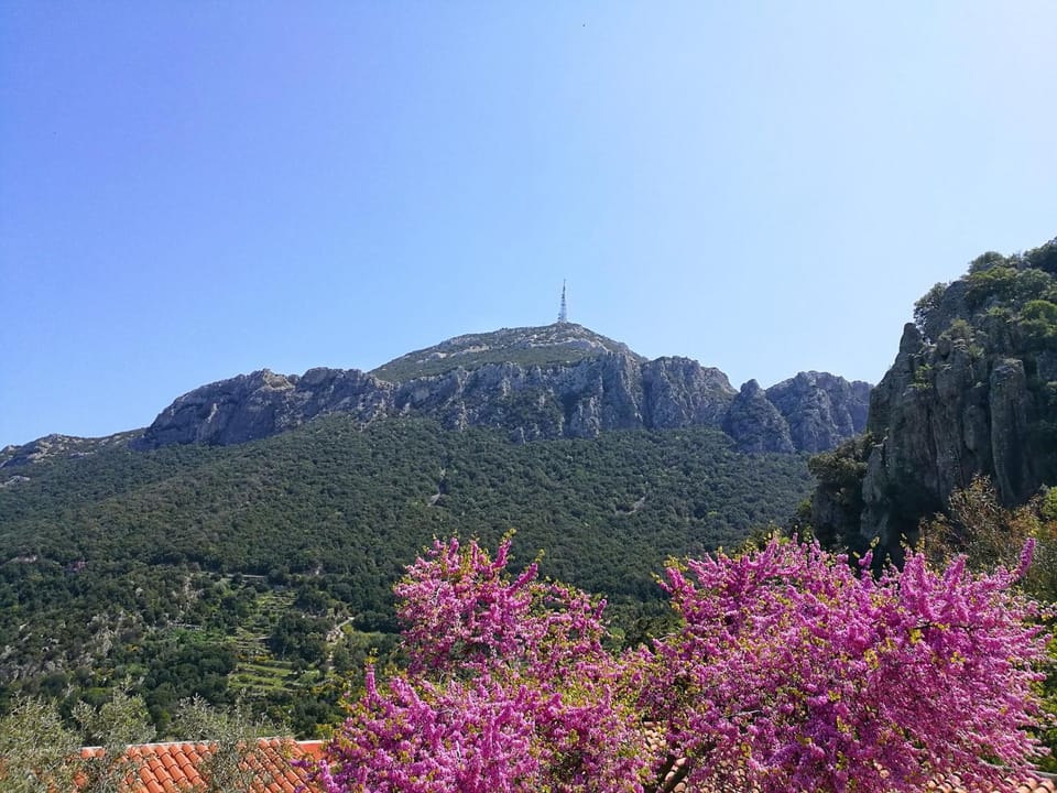 View (from property/room)