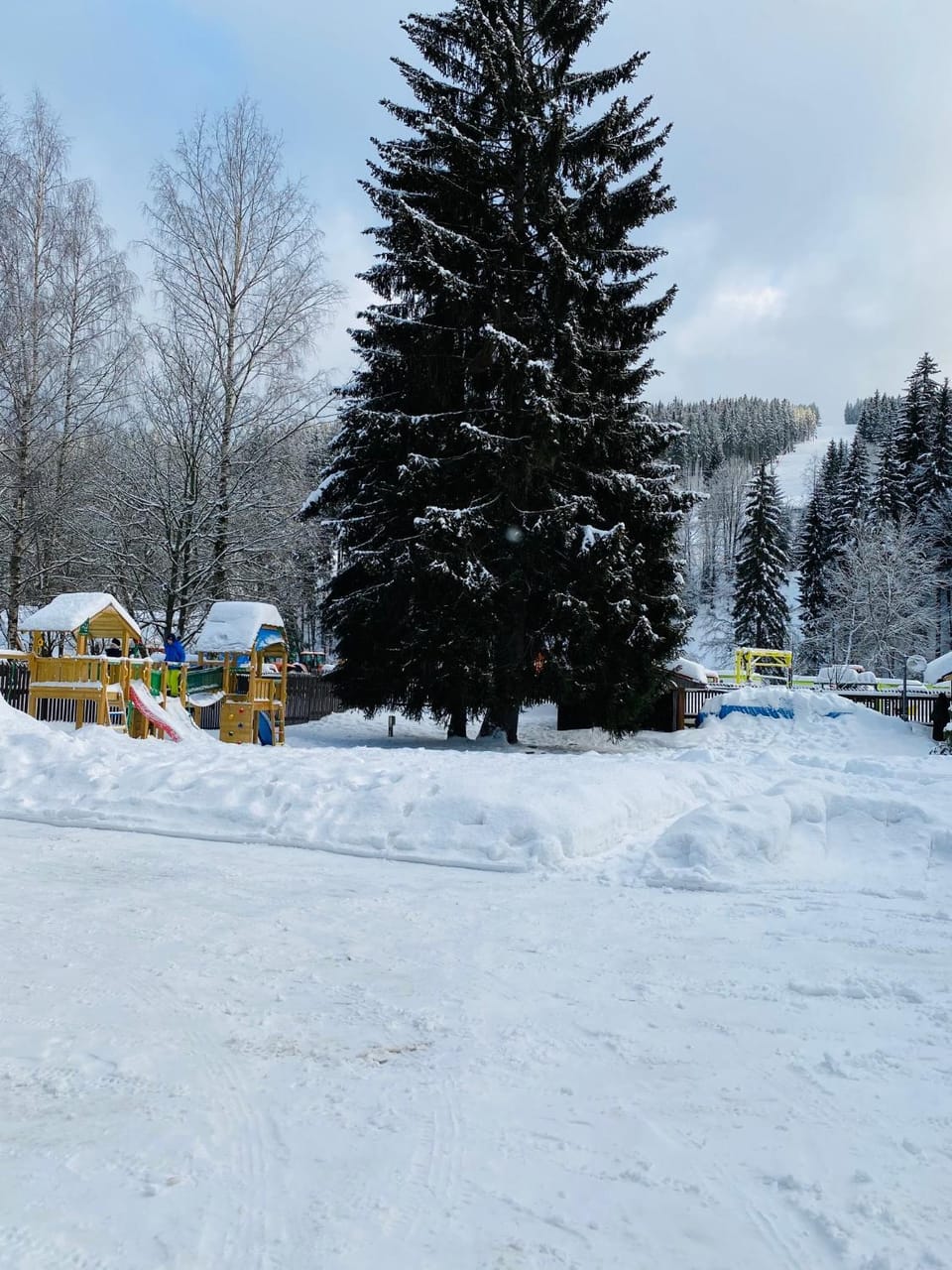 Natural landscape, Winter, Garden view, Garden view