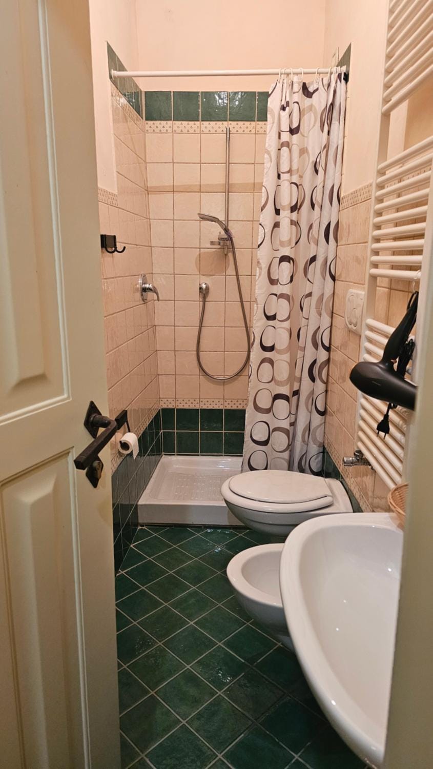 Shower, Toilet, Bathroom, bidet