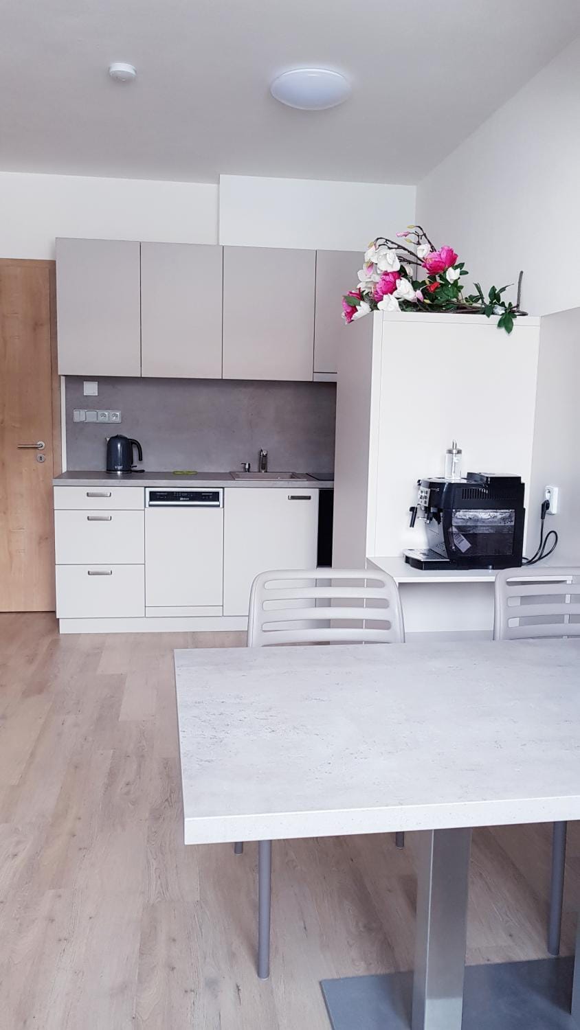 Kitchen or kitchenette