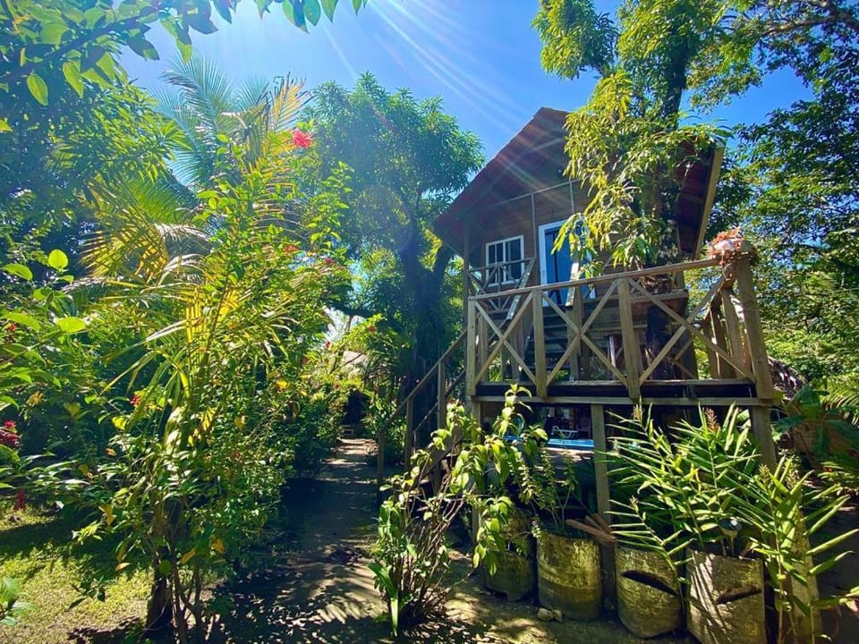 Casa de la Iguana Hostel in Guatemala