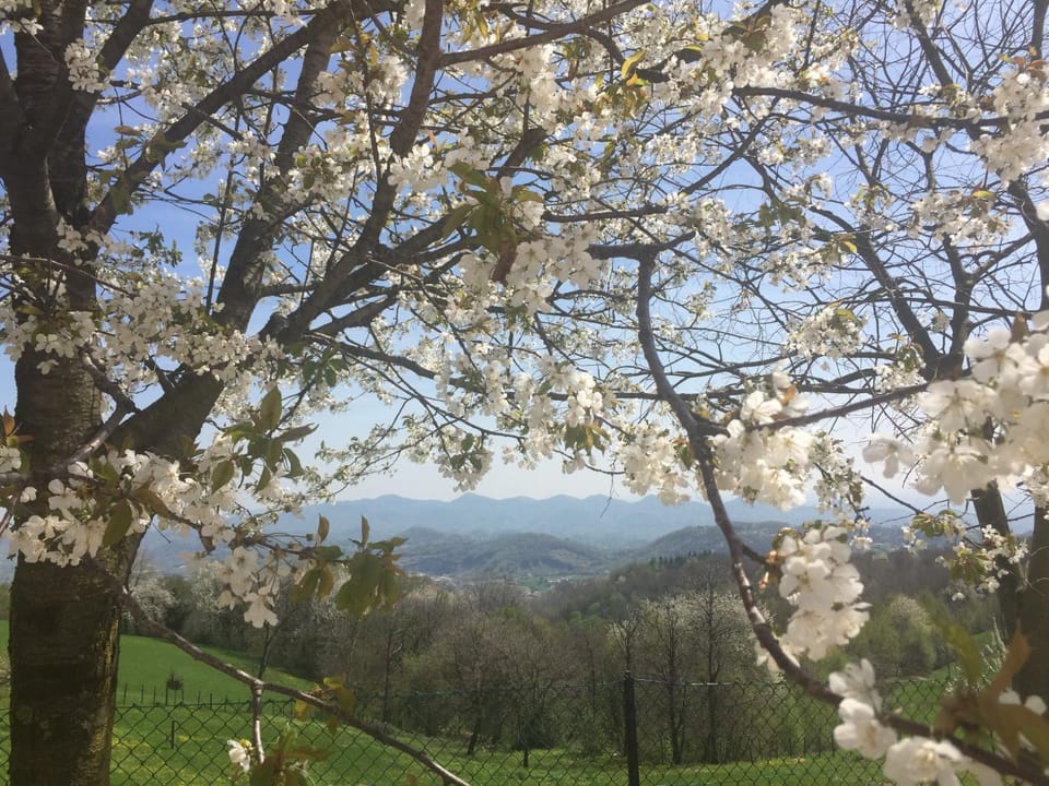 Natural landscape