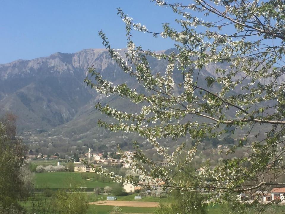 Natural landscape