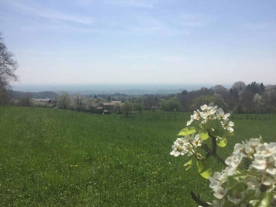 Natural landscape, Garden