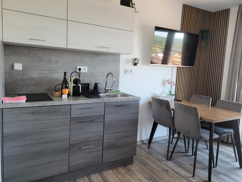 Apartmán Kovadlina 5 - Kovářov, výhled na Lipno Apartment in South Bohemian Region