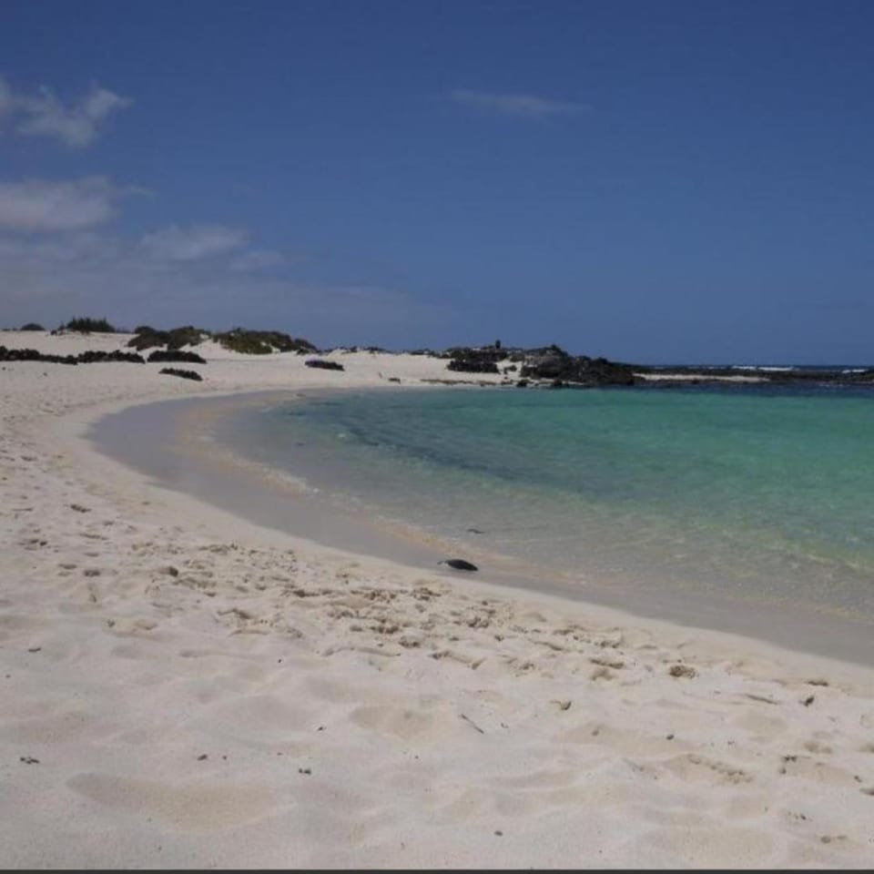 Apartamentos Albaula 5 Apartment in El Cotillo