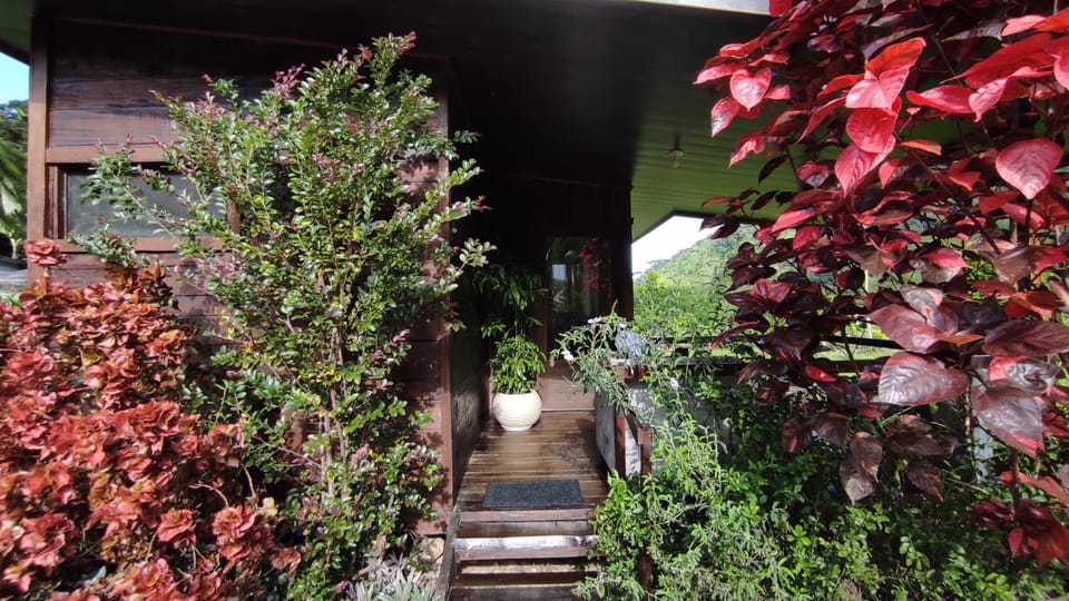 EYA Ecolodge Nature lodge in San José Province