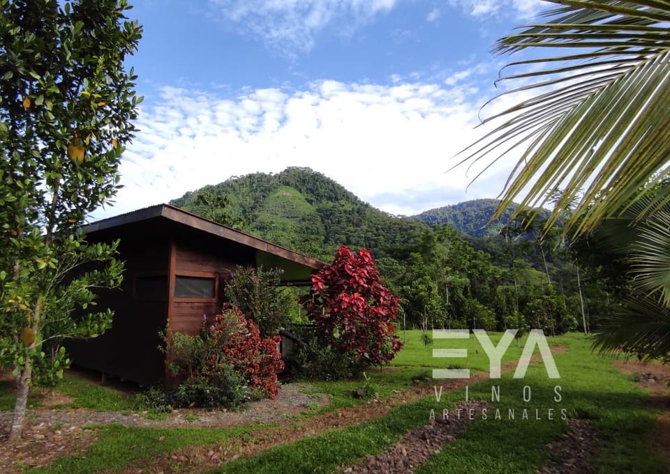 EYA Ecolodge Nature lodge in San José Province