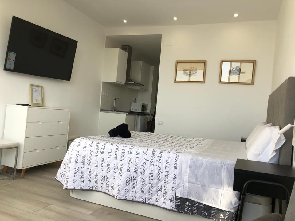 Bed, TV and multimedia, Kitchen or kitchenette, Photo of the whole room, Bedroom, hair dresser