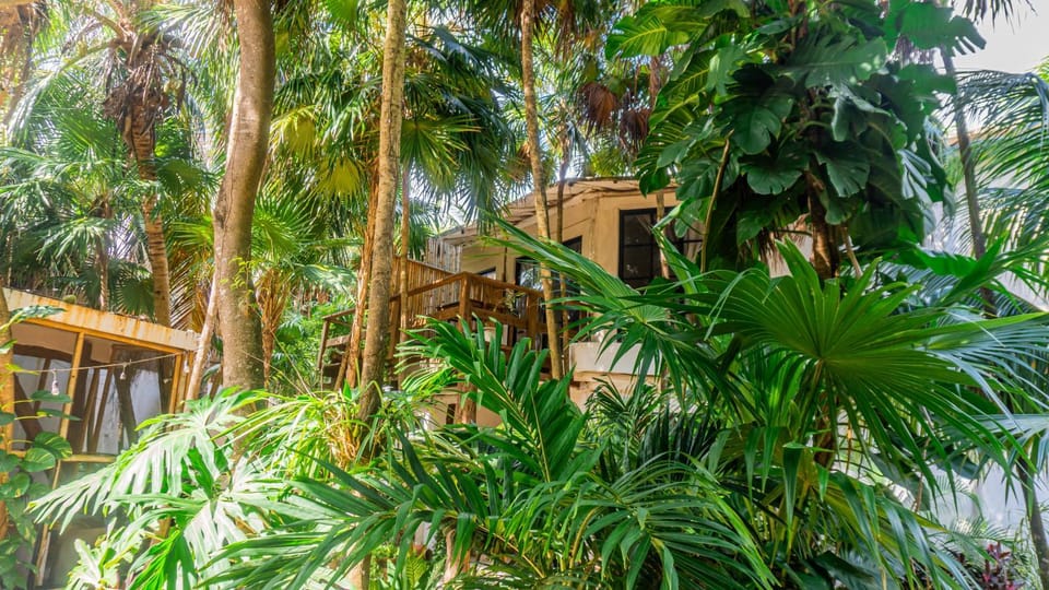 Natural landscape, Garden