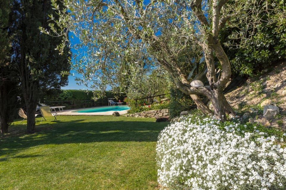 Garden, Garden view, Pool view, Swimming pool