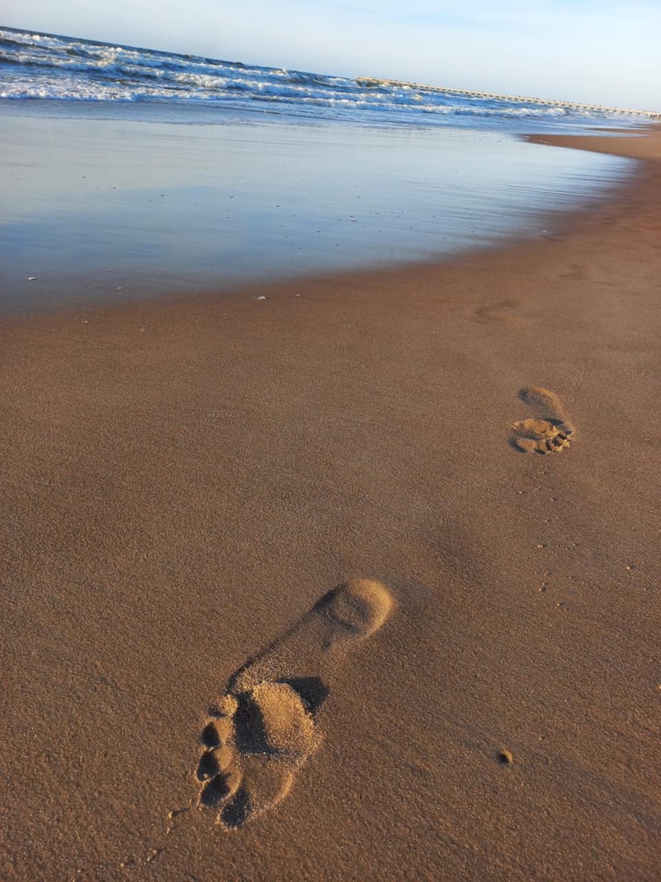 Palanga Sea view apartment Apartment in Palanga