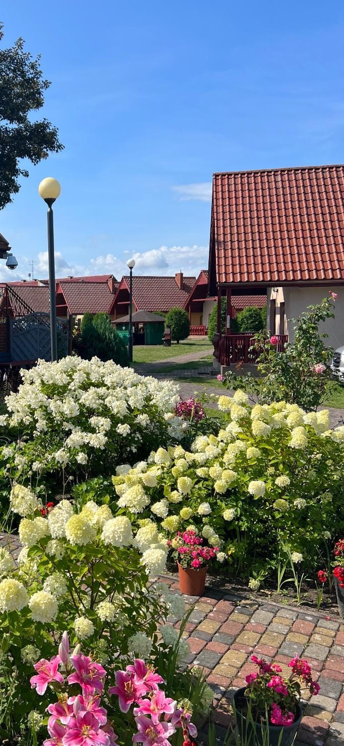 Lazur domki wypoczynkowe Nature lodge in West Pomeranian Voivodeship, Poland