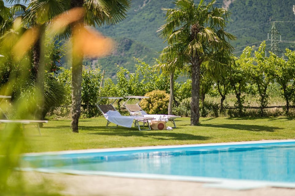 Garden, Swimming pool, Swimming pool