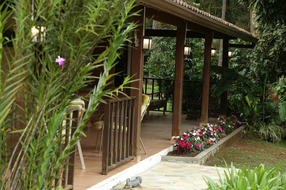 Day, Garden, Balcony/Terrace, Garden view