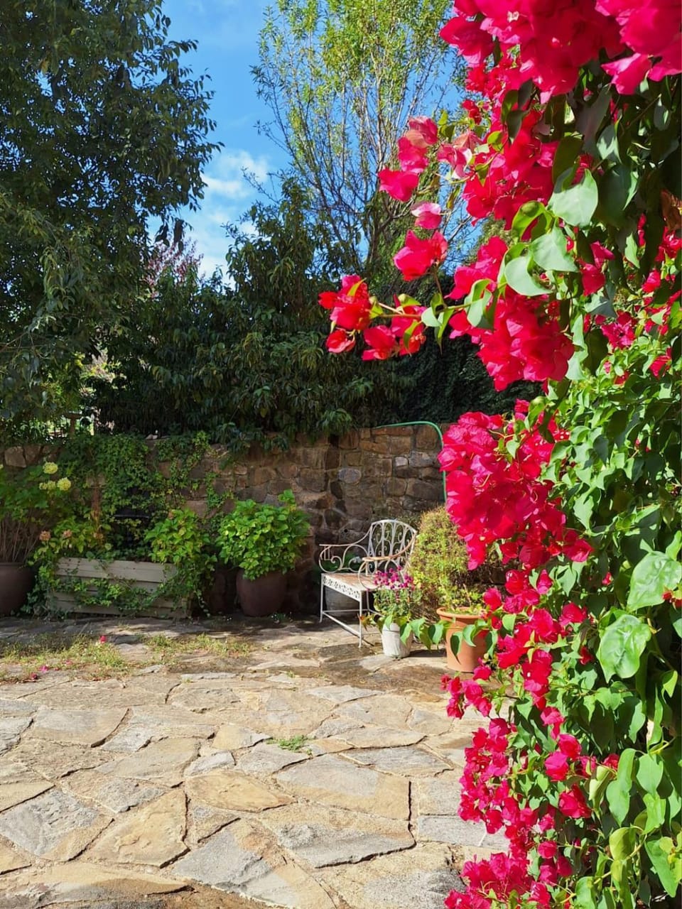Patio, Garden