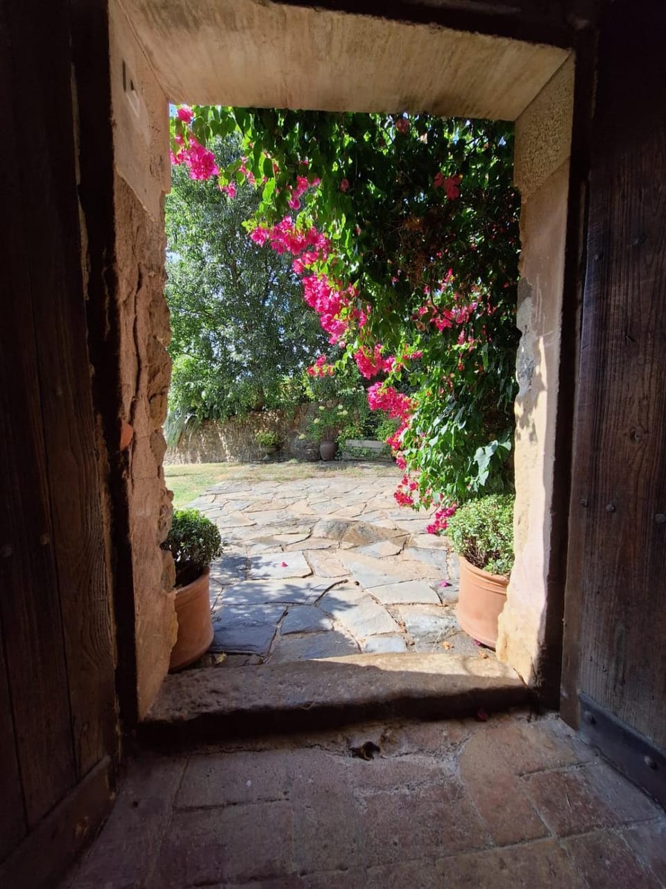 Property building, Garden view
