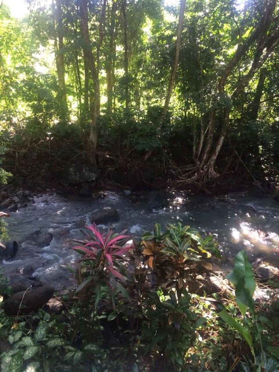 Natural landscape