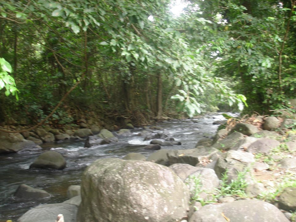 Open Air Bath