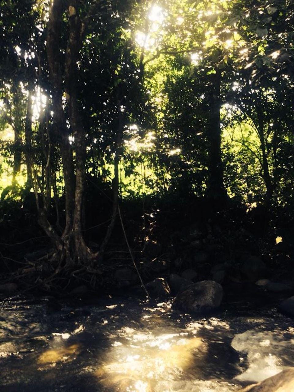 Natural landscape