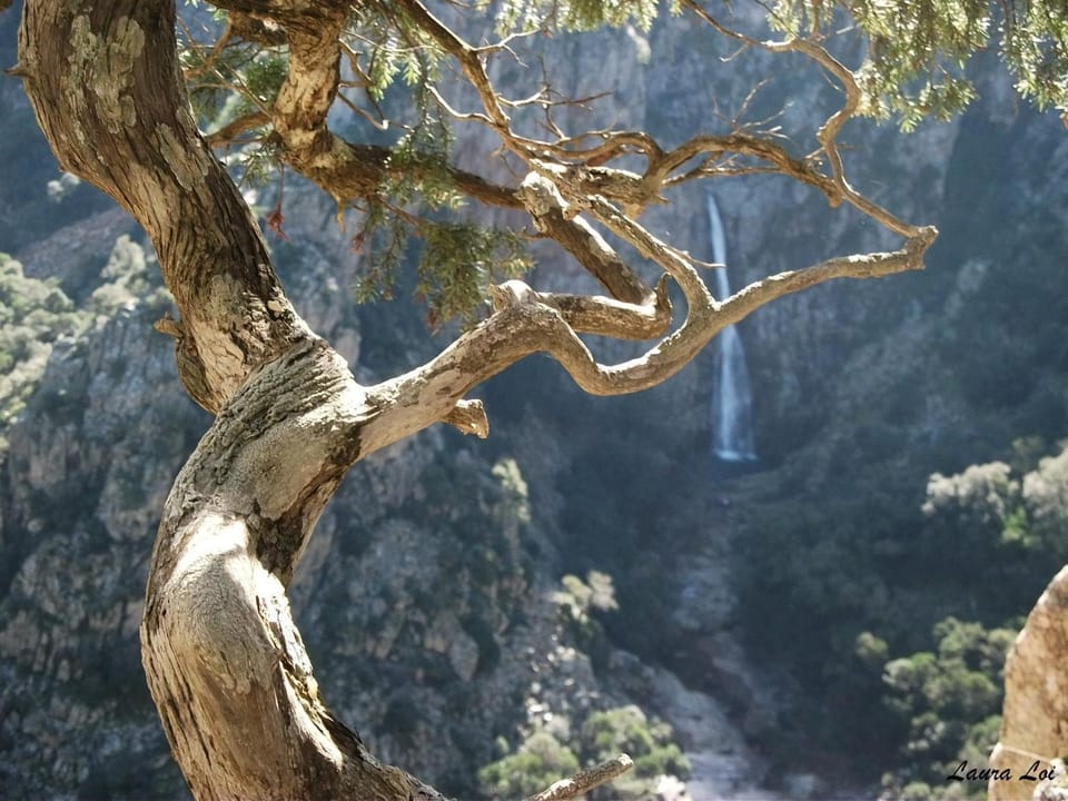 Hiking, Area and facilities