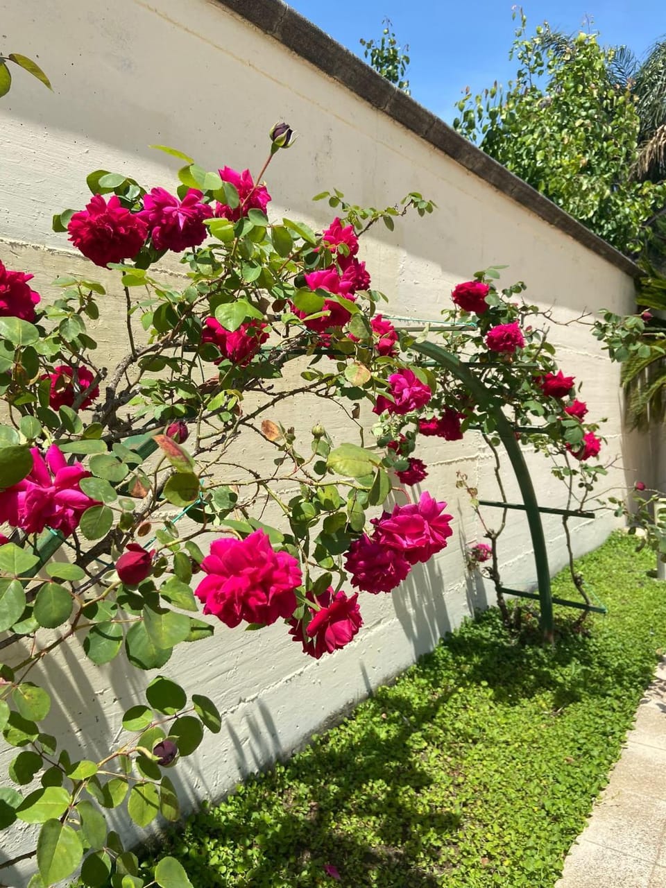 Hotel Ginevra Hotel in Campania