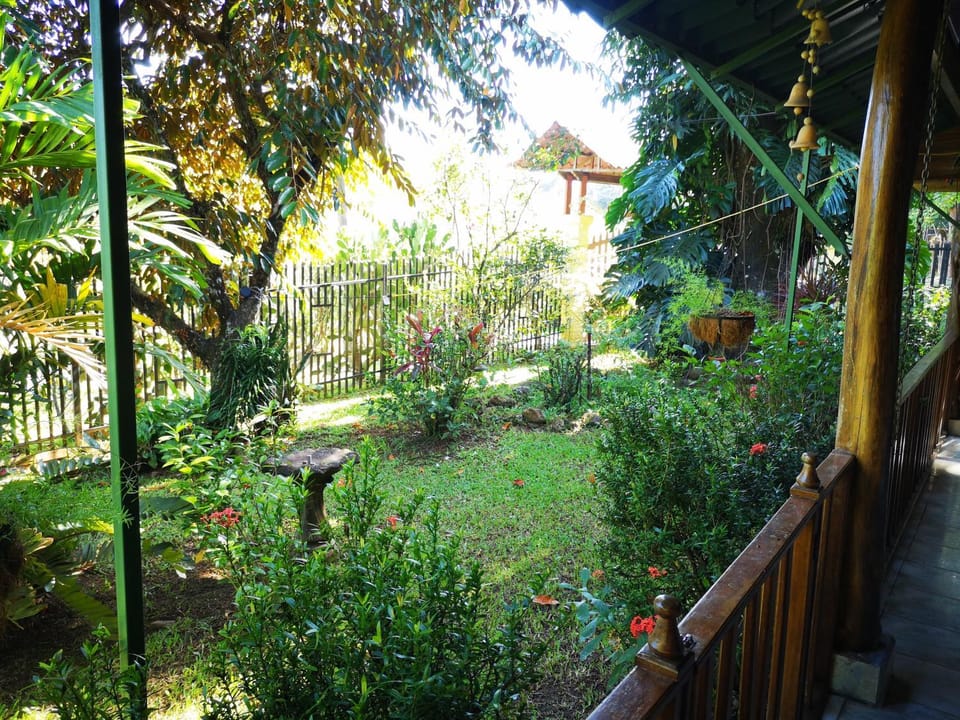 Garden view