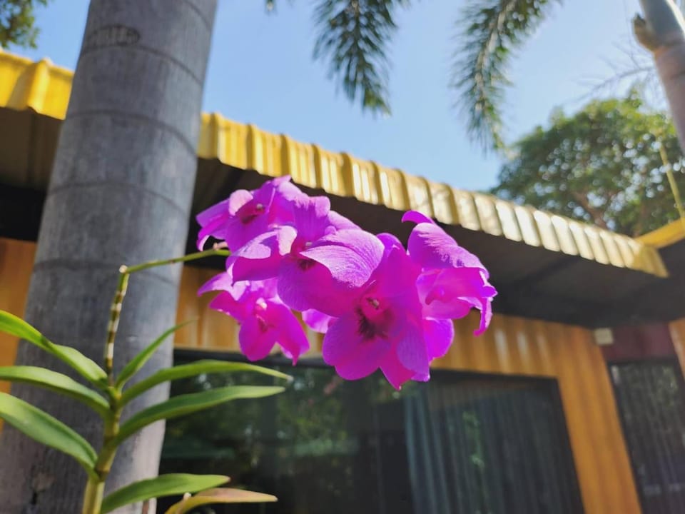 Beach Box at Pran Resort in Prachuap Khiri Khan, Thailand