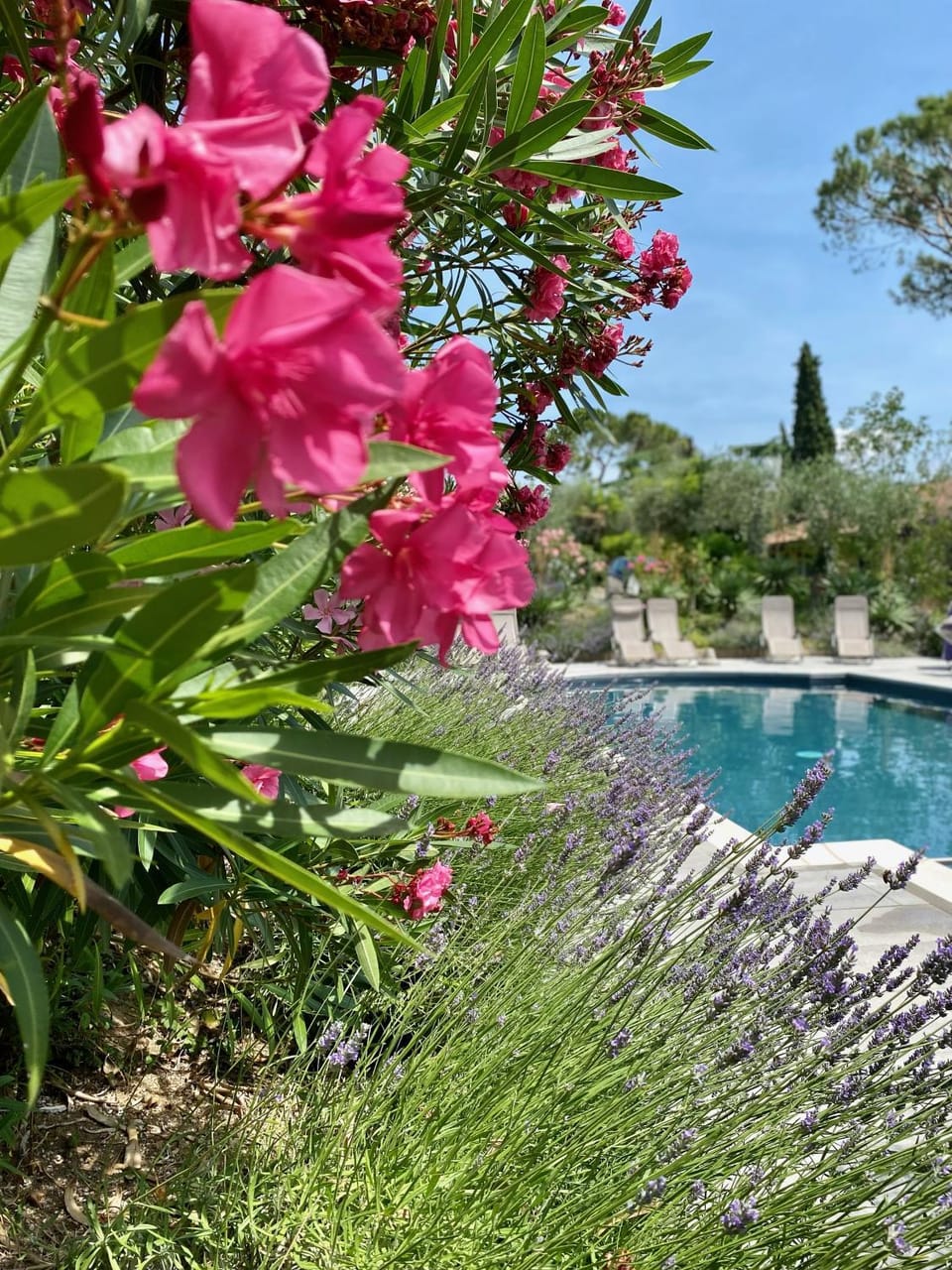 Villa Schindler Apartment hotel in Manerba del Garda