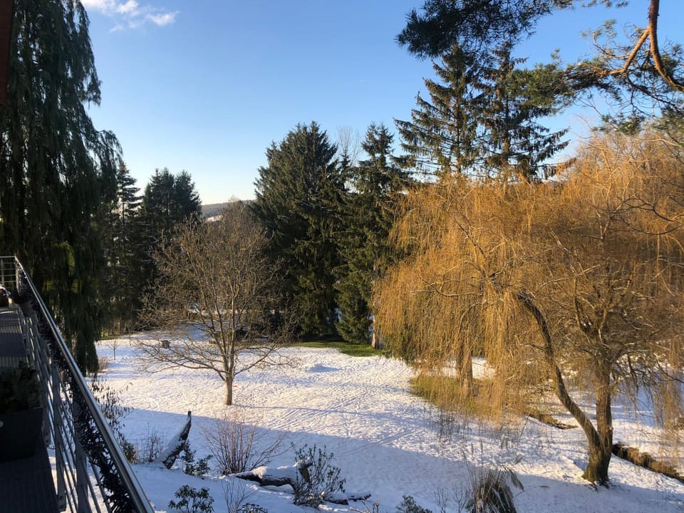 Natural landscape, Winter