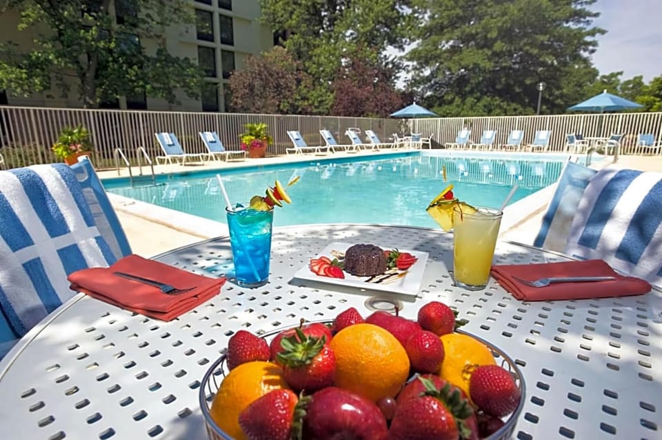 Day, Food and drinks, Food, Swimming pool, Swimming pool, sunbed