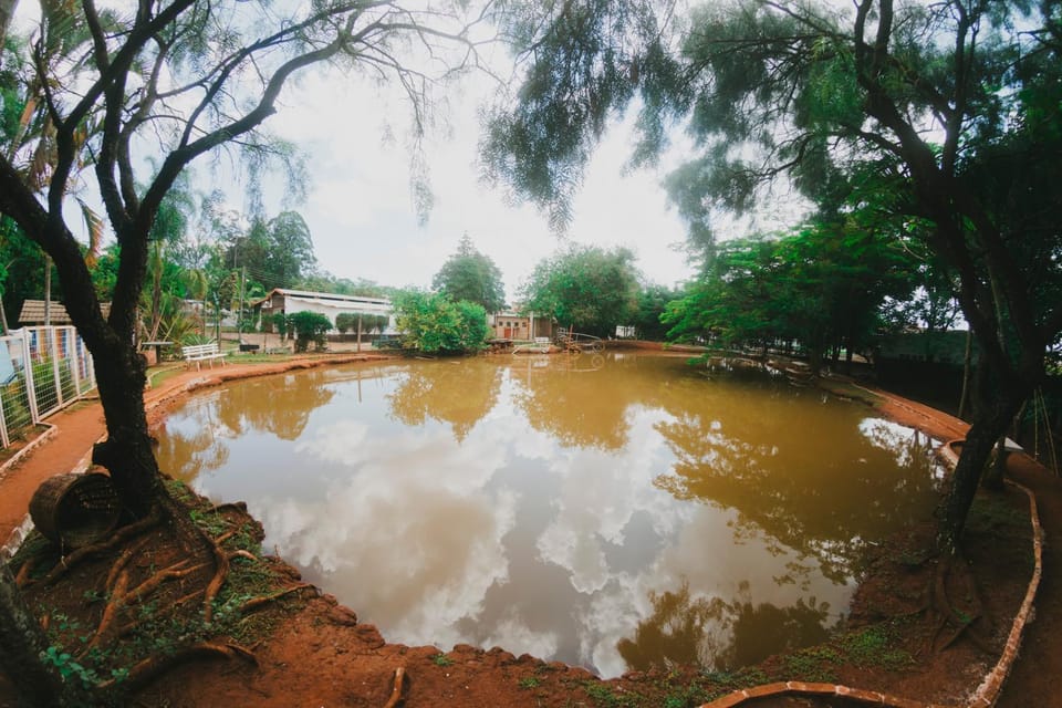 Lake view