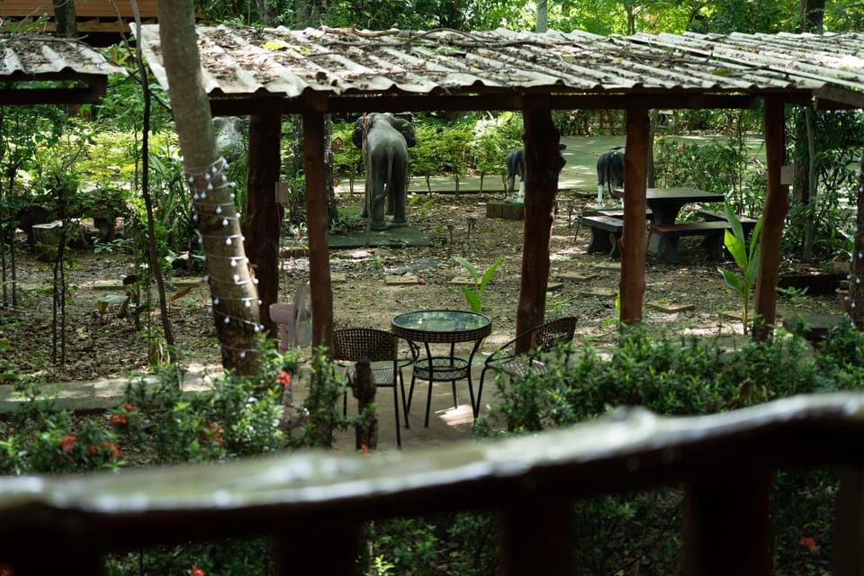Restaurant/places to eat, Garden, Garden view