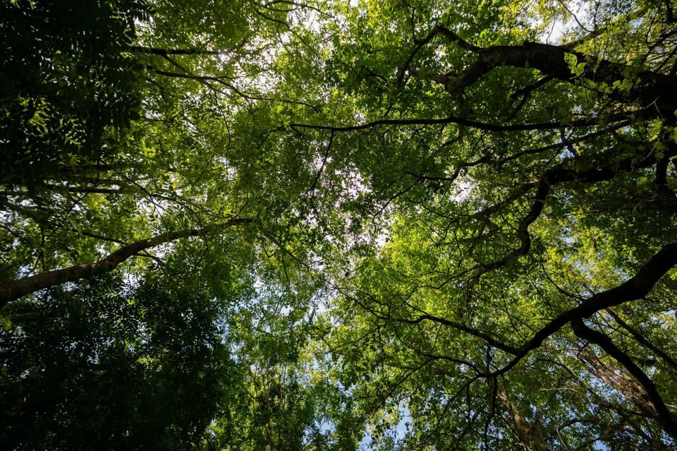 Natural landscape