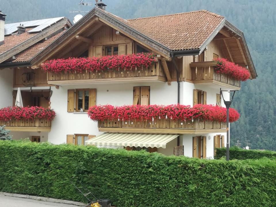 Appartamento Patrizia e Franco Apartment in Trentino-South Tyrol