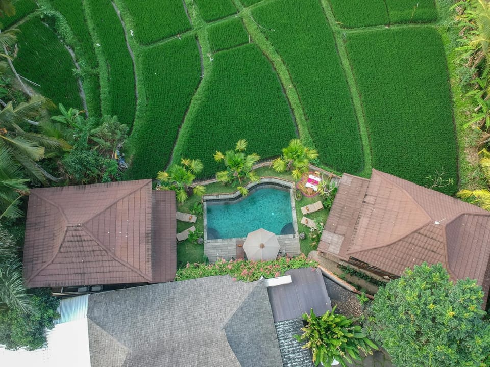 Property building, Day, Bird's eye view, Garden, Decorative detail, Garden view, Landmark view, Pool view, Swimming pool, sunbed