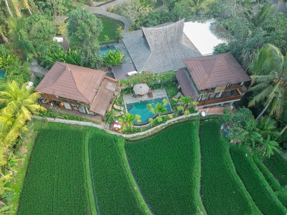 Bird's eye view, Decorative detail, Garden view, Landmark view, Pool view