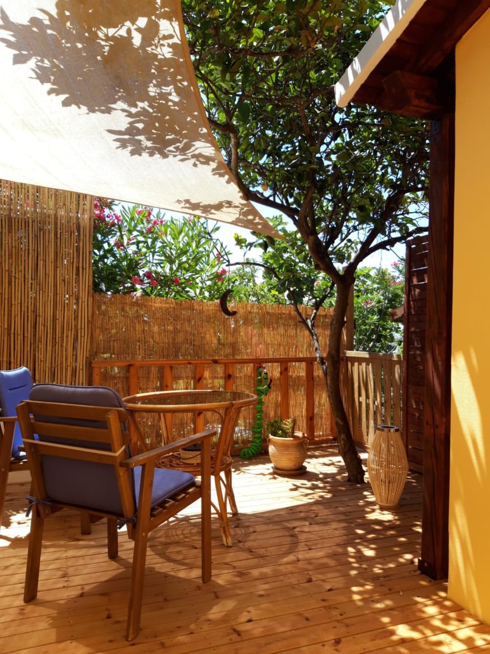 Garden view